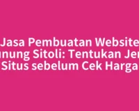 Jasa Pembuatan Website Gunung Sitoli: Tentukan Jenis Situs sebelum Cek Harga