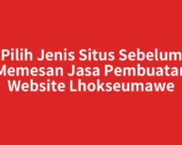 Pilih Jenis Situs Sebelum Memesan Jasa Pembuatan Website Lhokseumawe