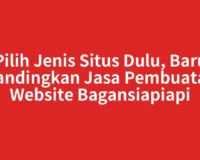 Pilih Jenis Situs Dulu, Baru Bandingkan Jasa Pembuatan Website Bagansiapiapi