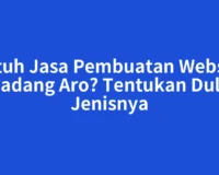 Butuh Jasa Pembuatan Website Padang Aro? Tentukan Dulu Jenisnya