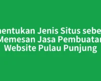 Menentukan Jenis Situs sebelum Memesan Jasa Pembuatan Website Pulau Punjung